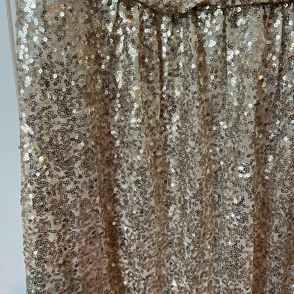 David's Bridal Champagne Sequin Dress Sleeveless Long - Picture 3 of 6